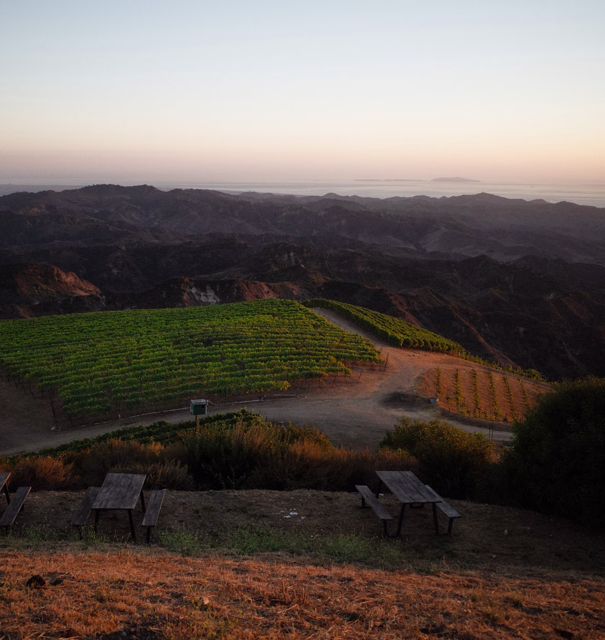 Private Estate Tour | Slide 6 Private Estate Tour | Slide 6