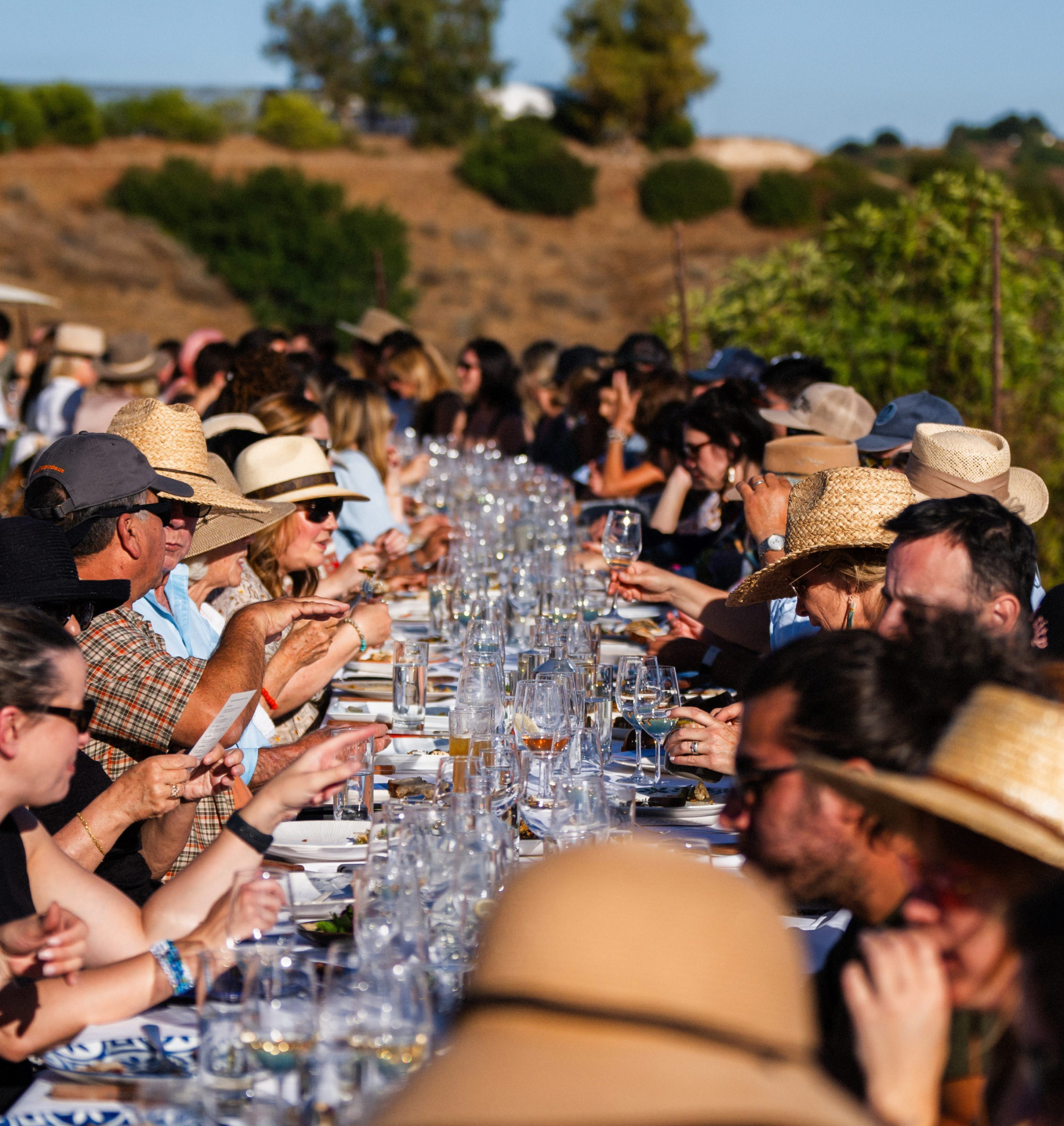 Special Occasions | Slide 6 Special Occasions | Slide 6