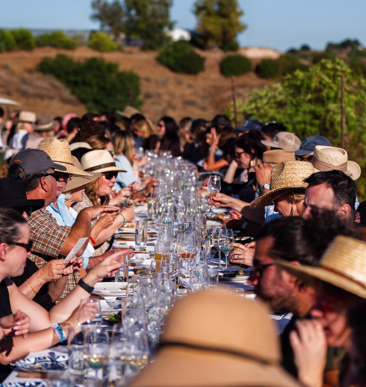 Special Occasions | Slide 6