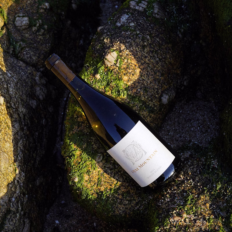 Ojai Mountain 2024 White Blend lying on sunlit mossy rock