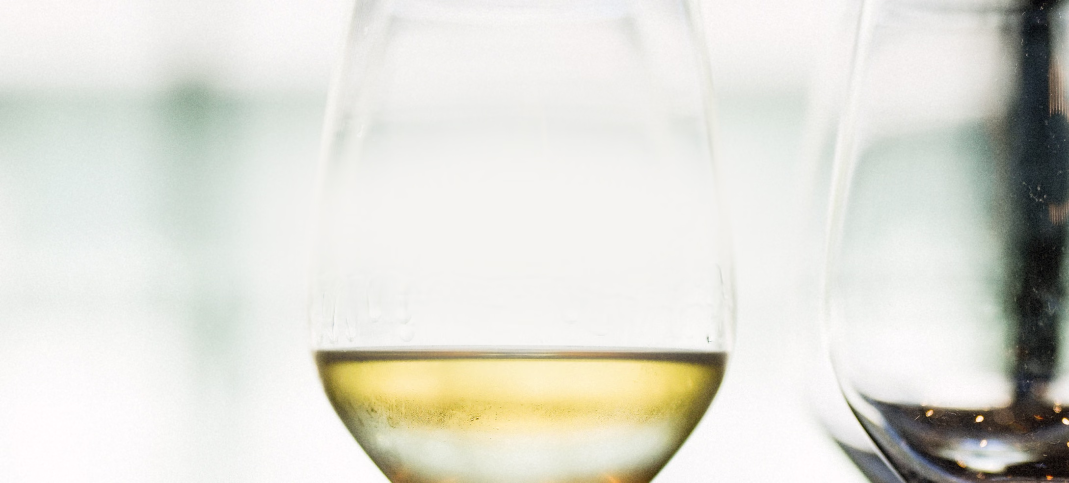 Glasses of white and red wine side by side in soft daylight