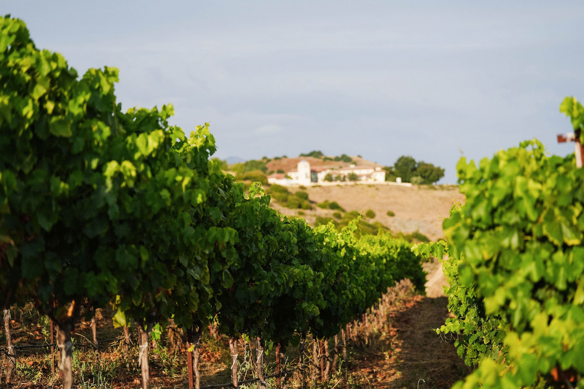 southwest-travel-life–ojai-wine-trail–feature