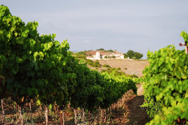 southwest-travel-life–ojai-wine-trail–feature