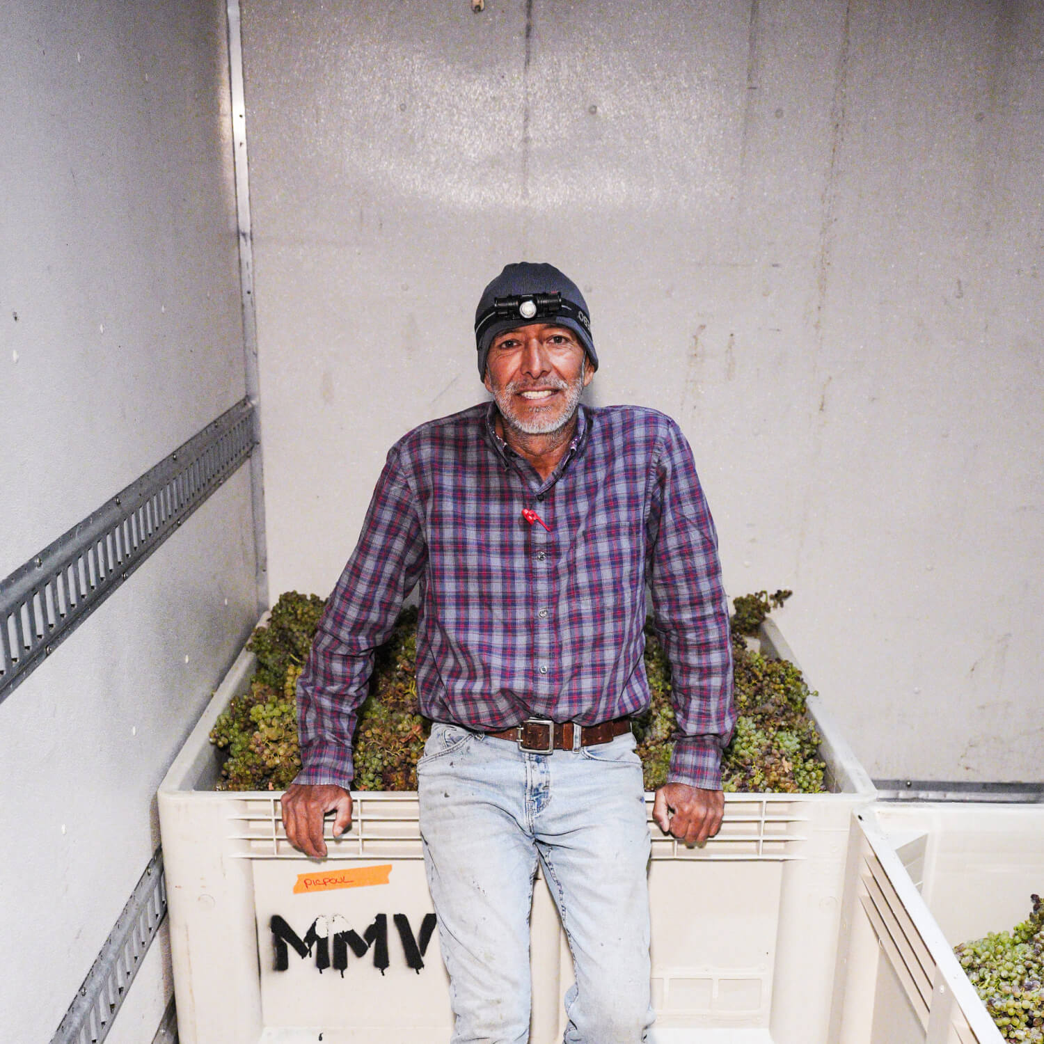 Head Viticulturist Martín Ramírez During the 2025 Harvest Head Viticulturist Martín Ramírez sits on a harvest bin filled with freshly picked grapes during the 2025 harvest at Ojai Mountain in California.