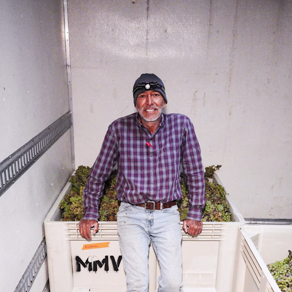 Head Viticulturist Martín Ramírez During the 2025 Harvest Head Viticulturist Martín Ramírez sits on a harvest bin filled with freshly picked grapes during the 2025 harvest at Ojai Mountain in California.