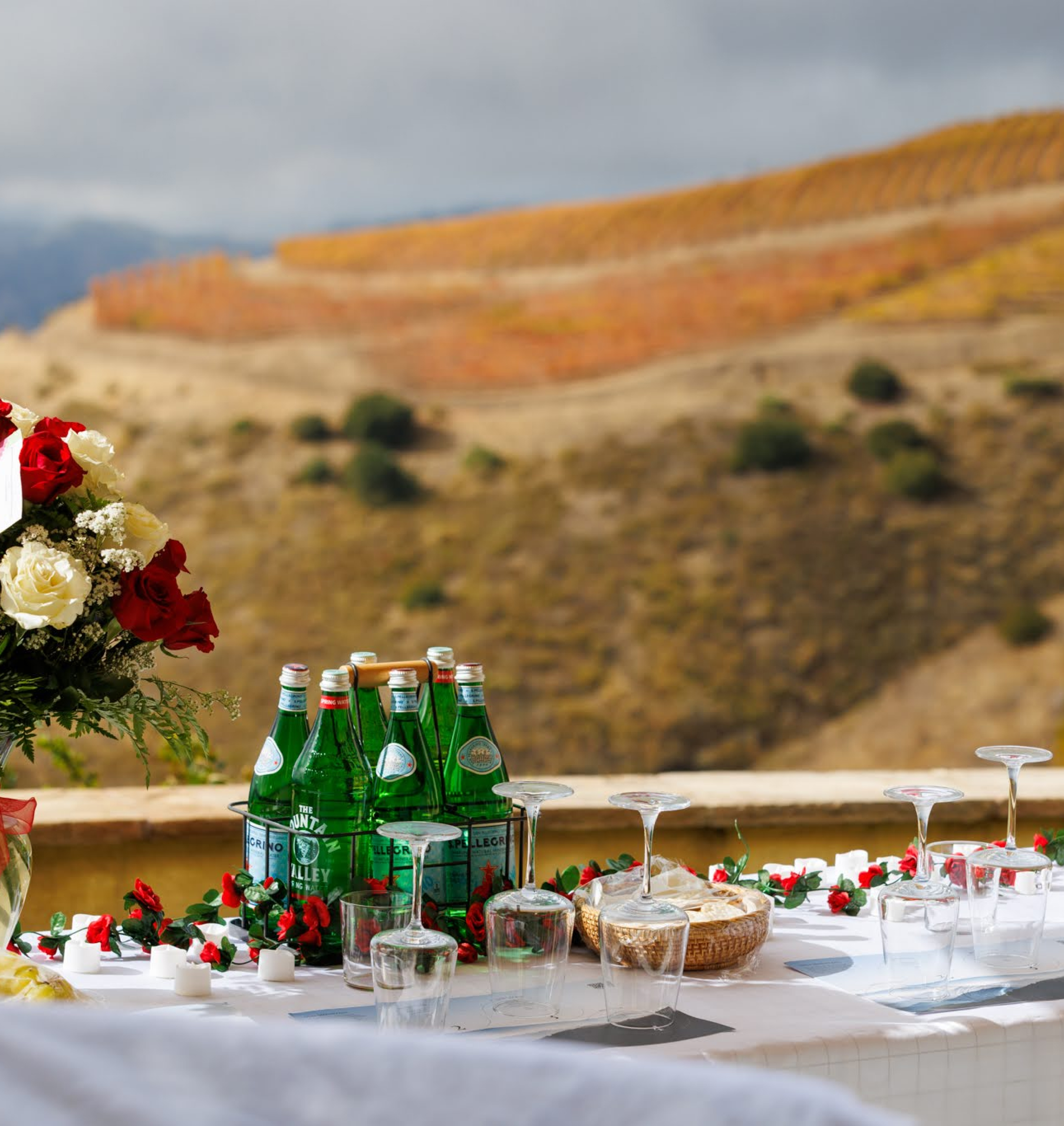 Special Occasions | Slide 1 Special Occasions | Slide 1