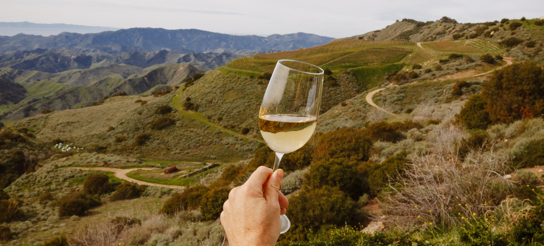 Hand holding a glass of white wine above green rolling hills