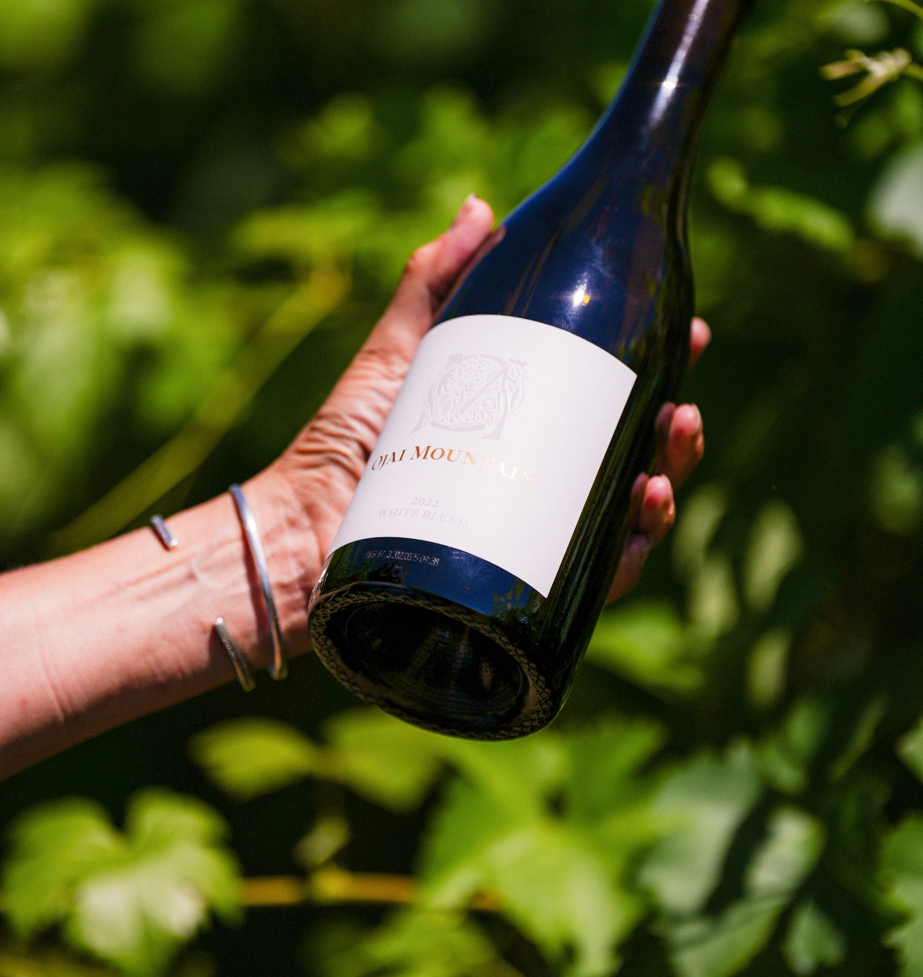 Jeep Tour | Slide 2 Jeep Tour | Slide 2