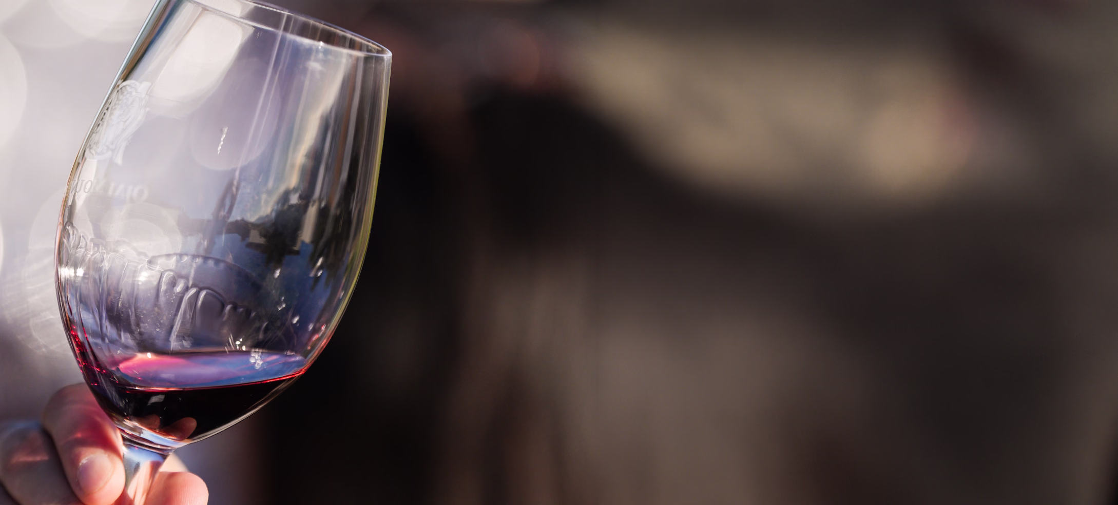 ojai-mountain-2021-red-blend-banner-glass-held-02