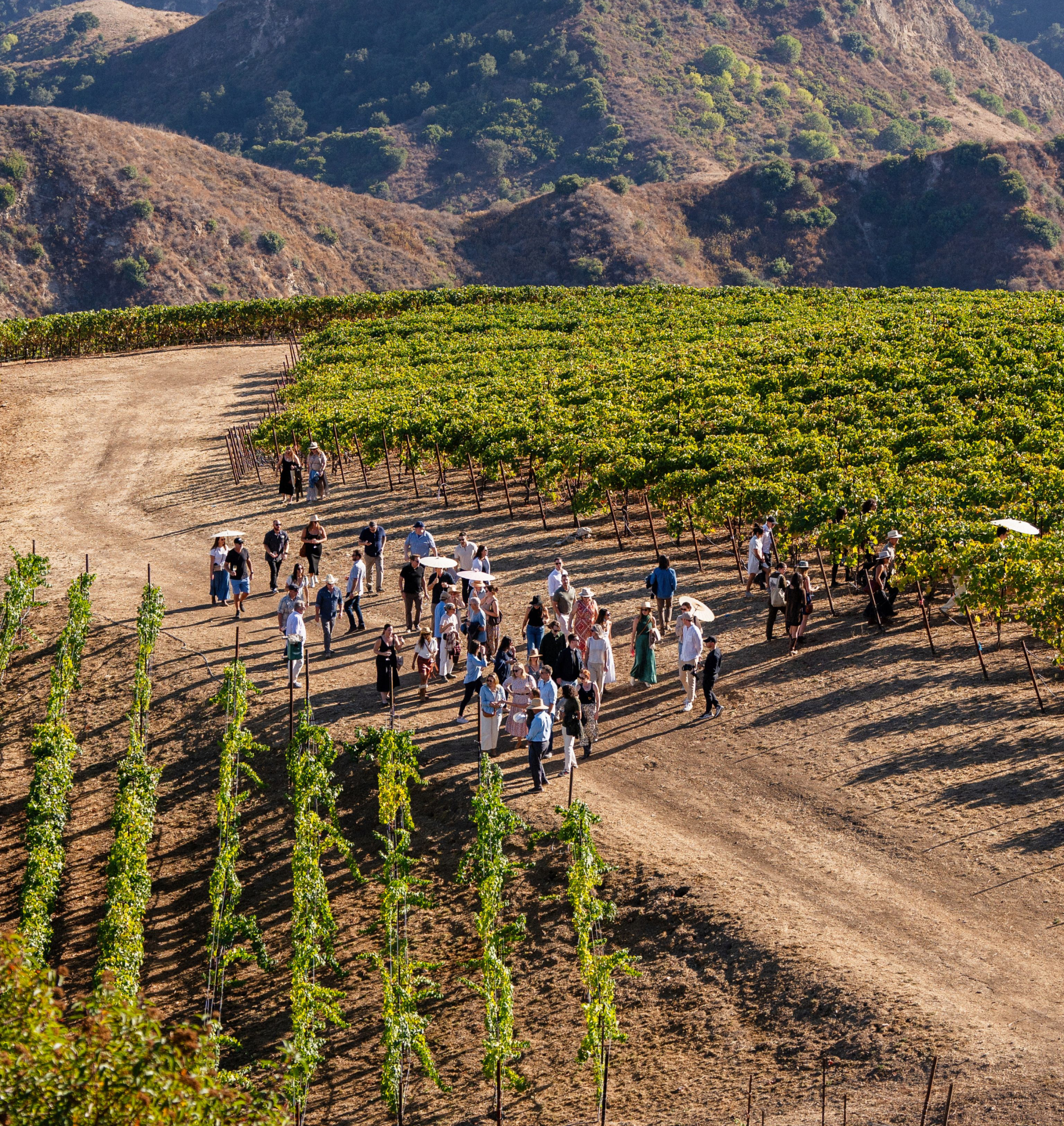 Special Occasions | Slide 4 Special Occasions | Slide 4