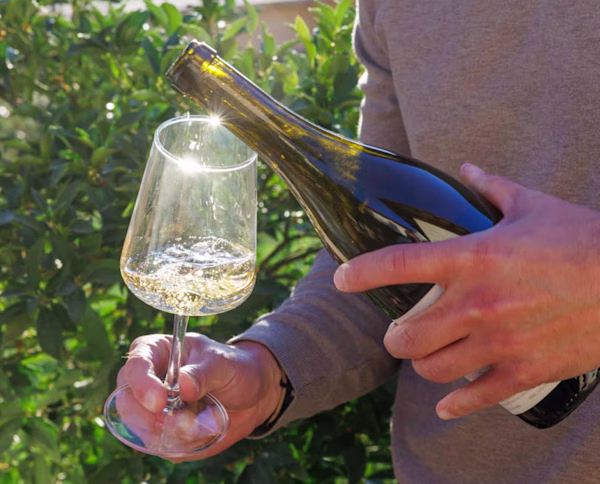 Ojai Mountain Wine Portfolio Banner