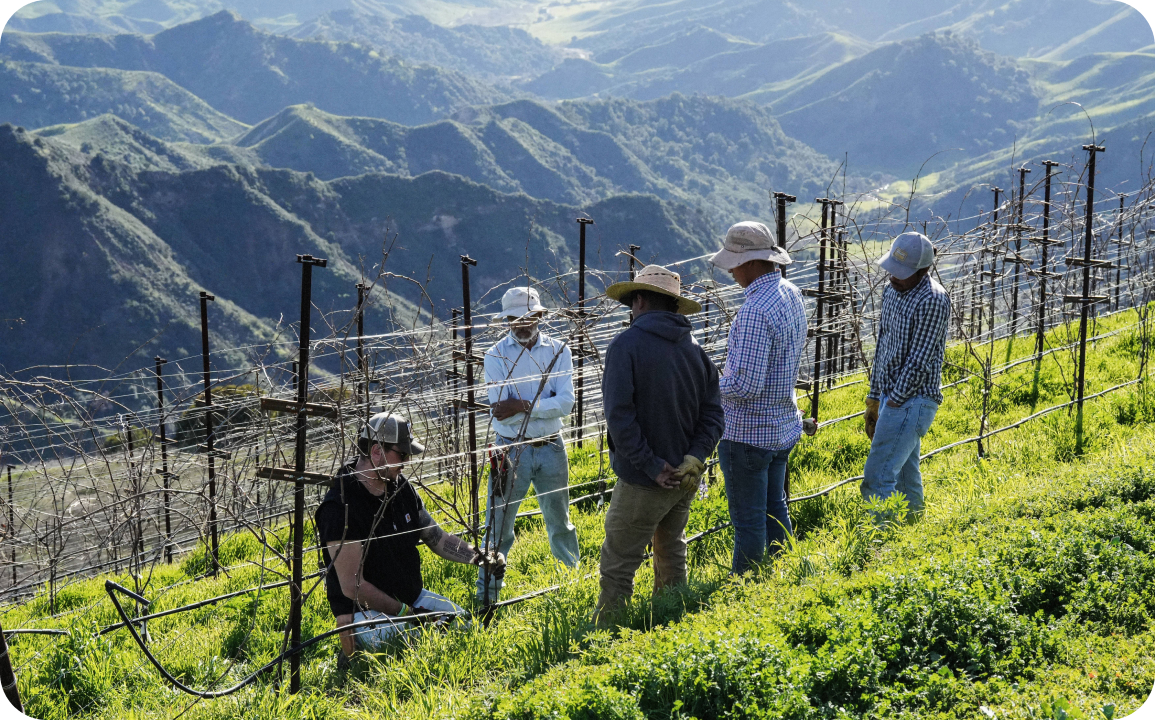 Ojai Mountain Wine Portfolio Banner