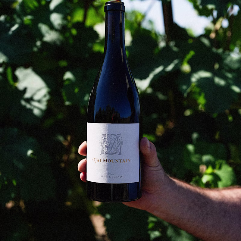 Hand holding Ojai Mountain 2020 White Blend among green vineyard leaves