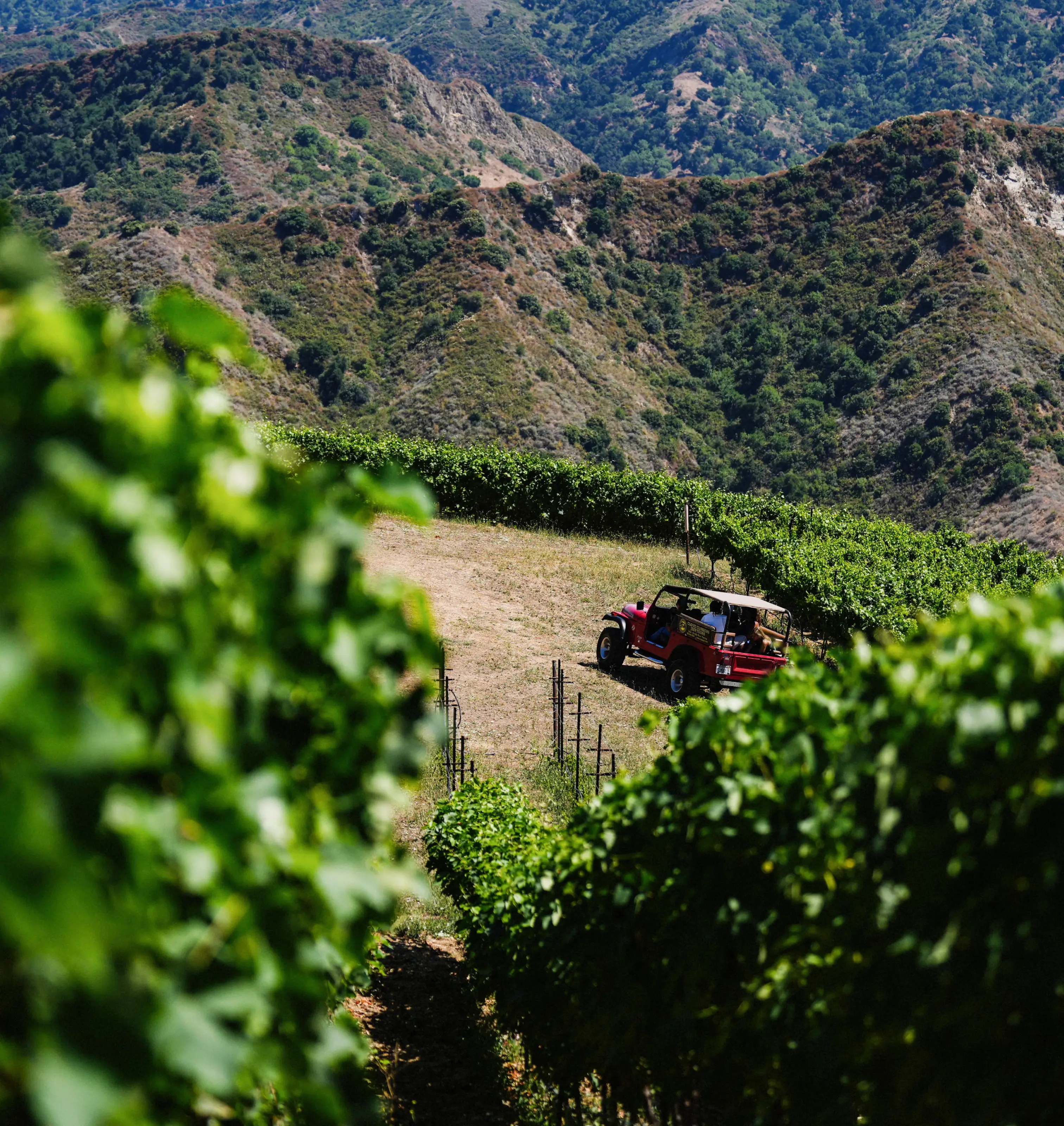 Jeep Tour | Slide 6