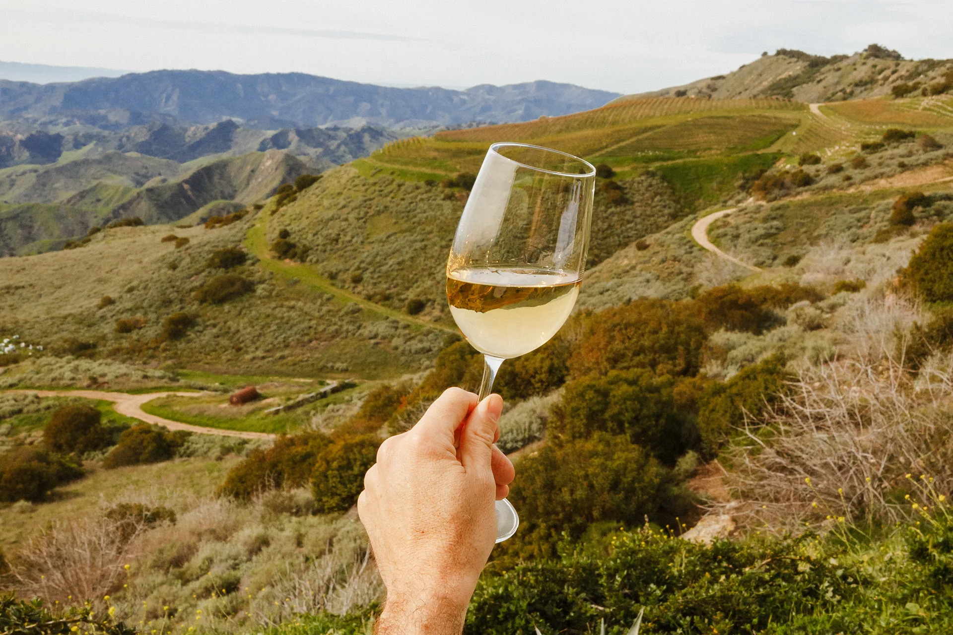 ojai-mountain-wine-enthusiast-feature-elli-lauren