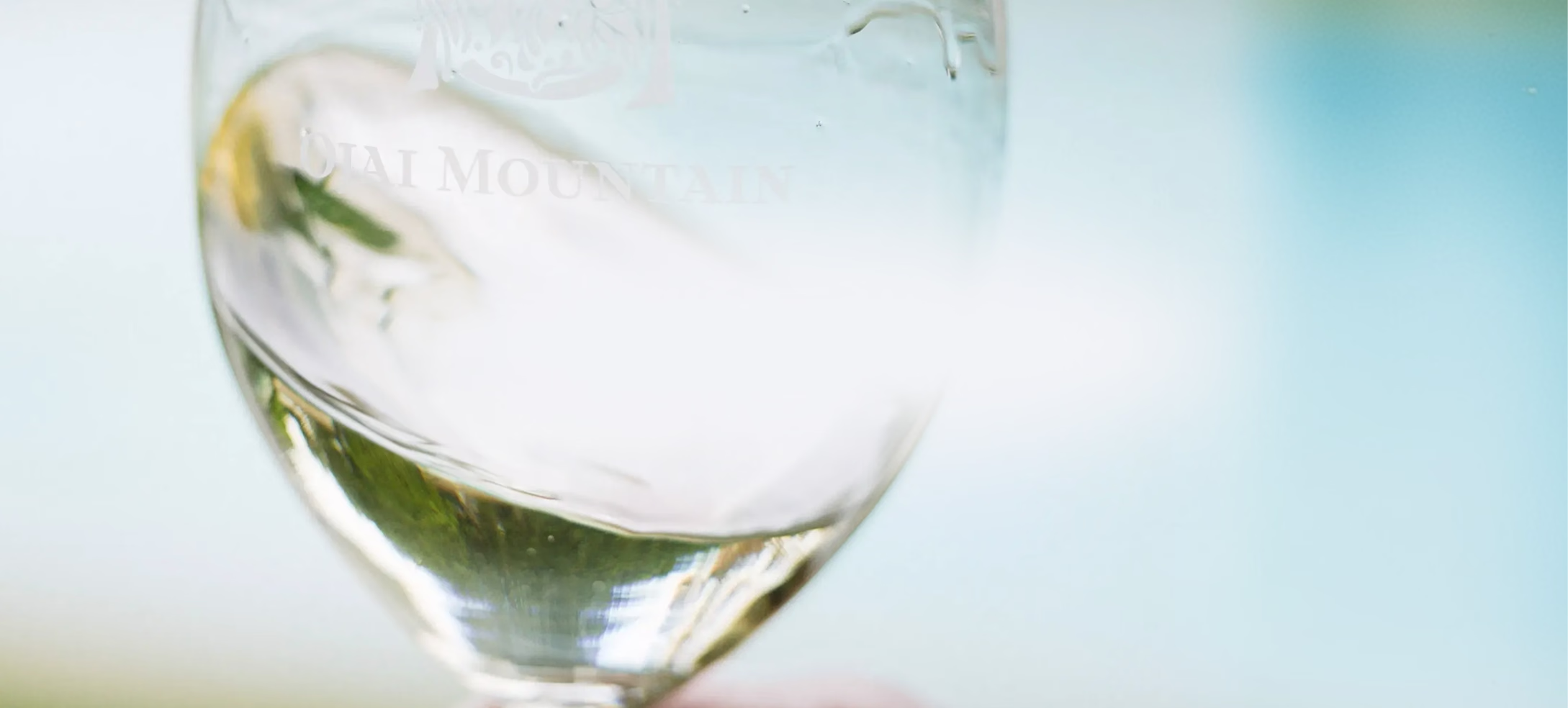Etched Ojai Mountain glass of white wine against a pale background Etched Ojai Mountain glass of white wine against a pale background