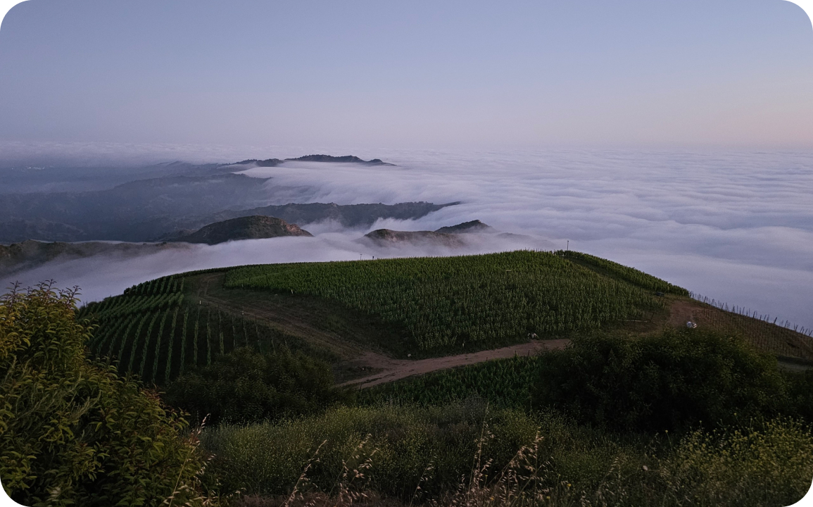 Ojai Mountain Wine Portfolio Banner