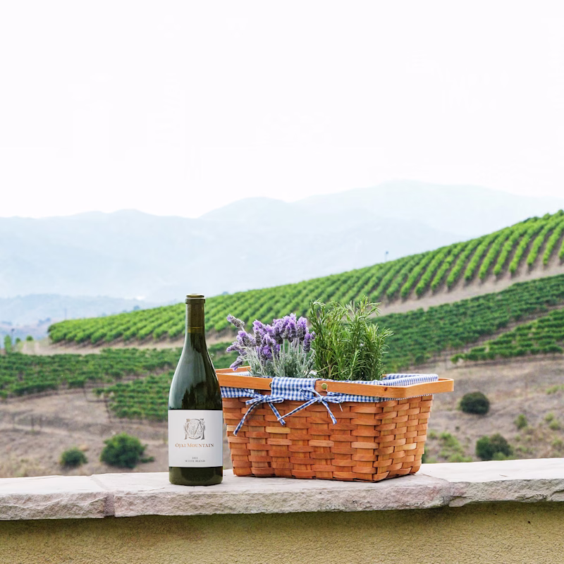 Ojai Mountain 2021 White Blend and picnic basket on a wall above vineyard rows Ojai Mountain 2021 White Blend and picnic basket on a wall above vineyard rows