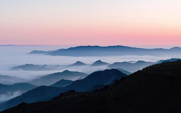 Ojai Mountain Wine Portfolio Banner