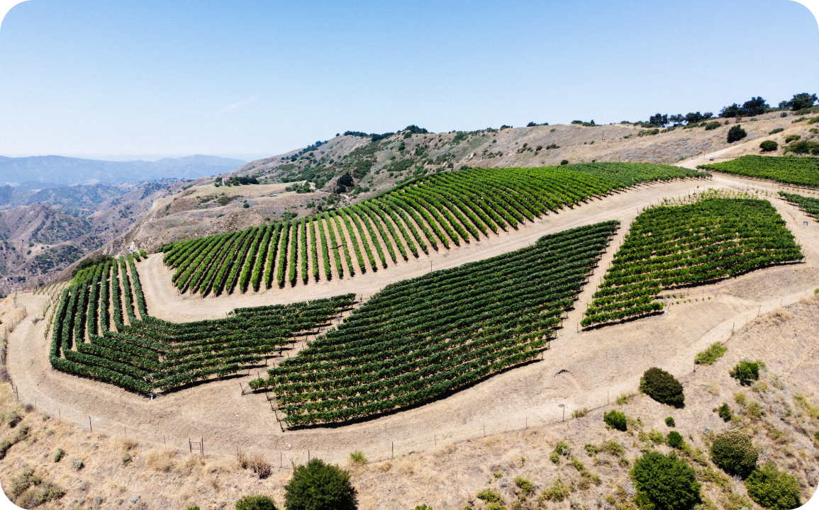 Ojai Mountain Wine Portfolio Banner