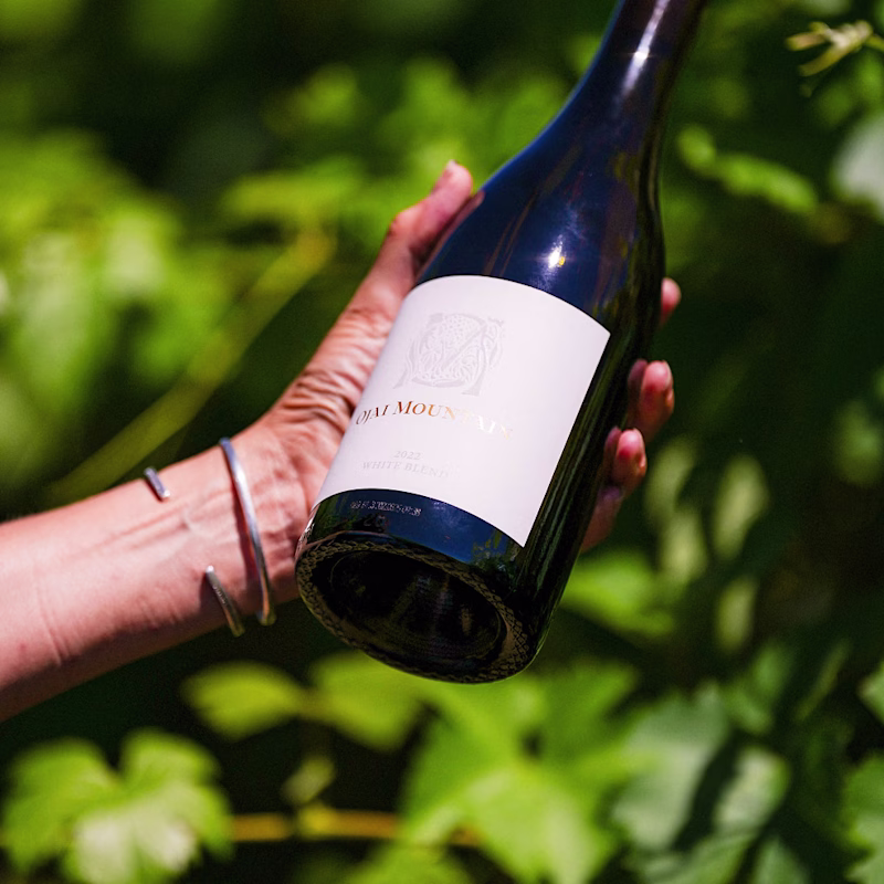 Hand holding an Ojai Mountain White Blend bottle against green foliage
