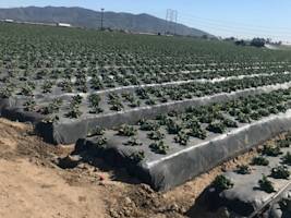 Soil Health Management Planning