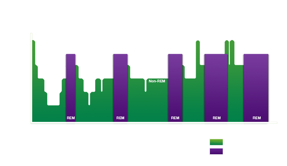 Schlafstadium: REM vs non REM