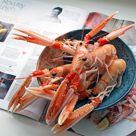 scarlett johansson is dating