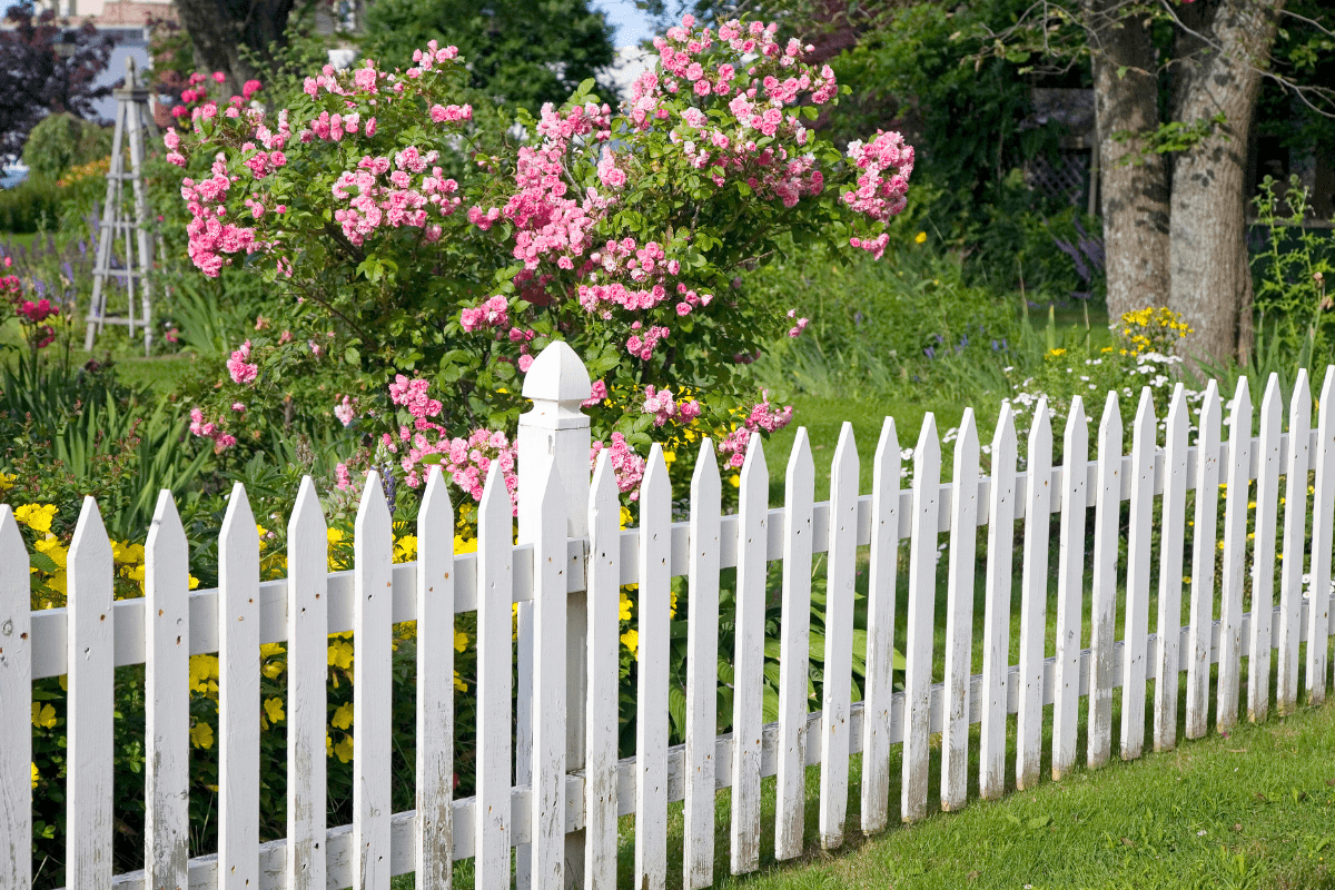 Can neighbours lean things on my fence?