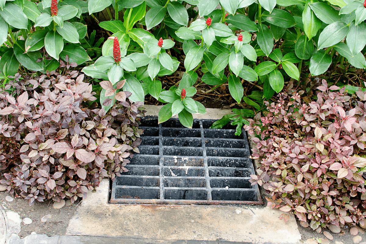 Who is responsible for drain covers on my property?
