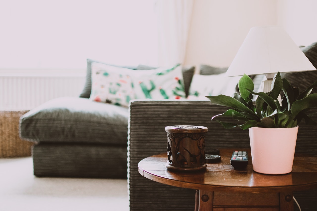 a neat living room with grey sofa, small pot plant, and wooden side table