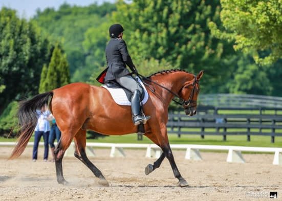 side view Lydia Gray and Newman canter in dressage seat equitation class