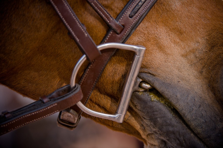 Heavy Chrome Equestrian Key Ring - D-Ring Snaffle Bit Key Ring