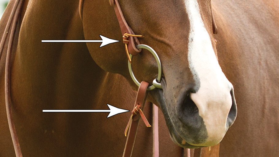 The same knot tie used on the reins as on the bit of a western headstall.