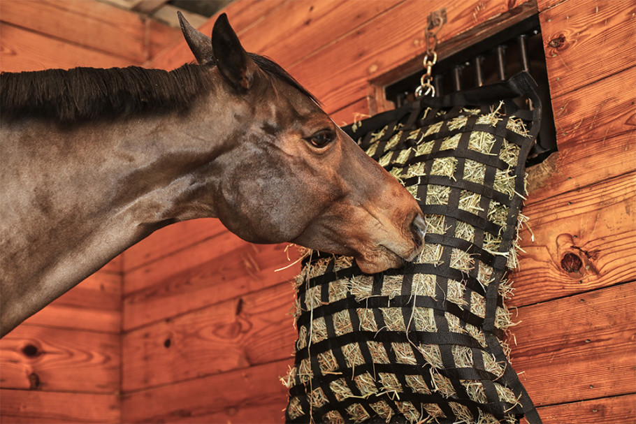 A horse eating out of a hay bag in the stall.