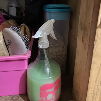 spray bottle and horse treats inside a tack trunk