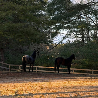 Bugs Inbound: More About Insect Control Supplements