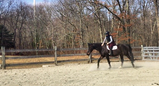 Calm Horse, Confident Rider