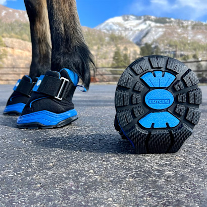 Easyboot Rx2 hoof boots