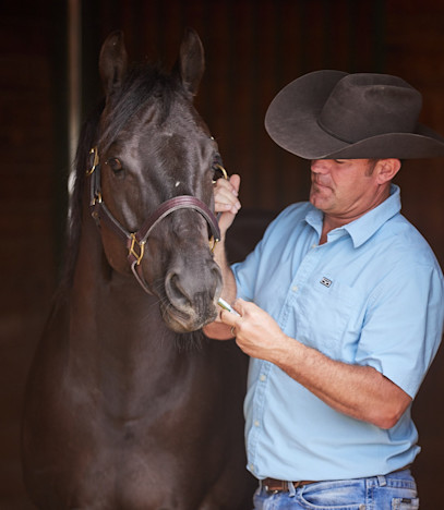 Paste Equine Supplements: When and Why to Feed Them