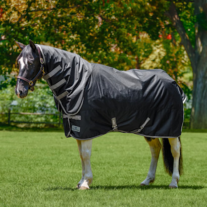 Bay horse in the SmartEquine Classic Combo Neck Turnout Blanket.