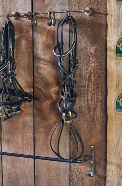 A figure-eighted horse bridle on a hook.