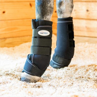 SmartTherapy ceramic leg wraps on a horse's front legs.