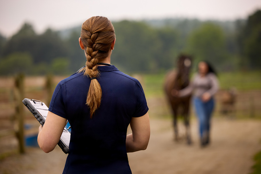 An equine veterinarian watching a horse trot during a flexion test.