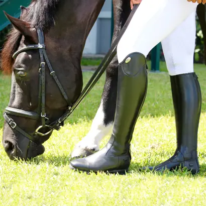 A horse grazing with a rider wearing dress boots.