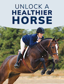 Unlock a Healthier Horse