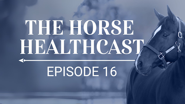 The Horse HealthCast by SmartEquine: Episode 16