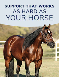Support that works as hard as your horse