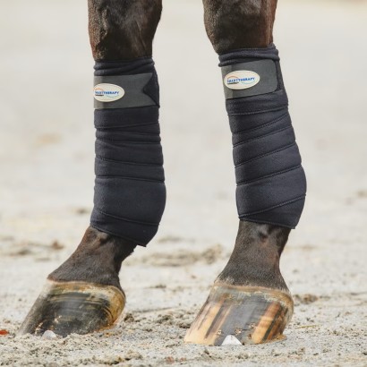 black polo wraps on a horses legs
