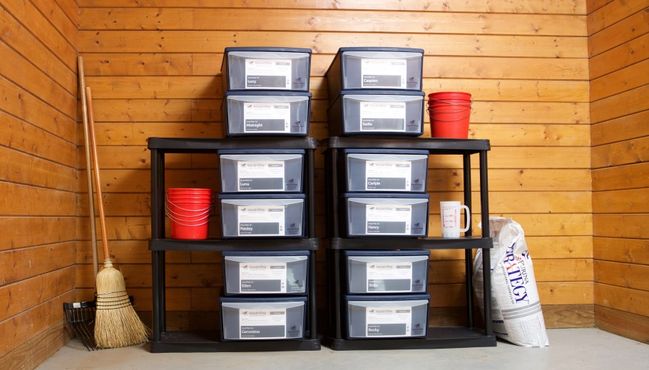 Clean and organized horse feed and grain room.